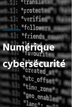 Numérique / cybersécurité - Calder and partners
