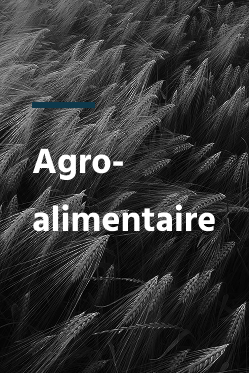 Agro-alimentaire - Calder and partners